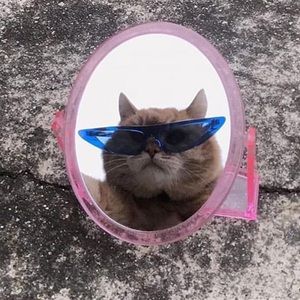 Meet your Posher, Ravyn